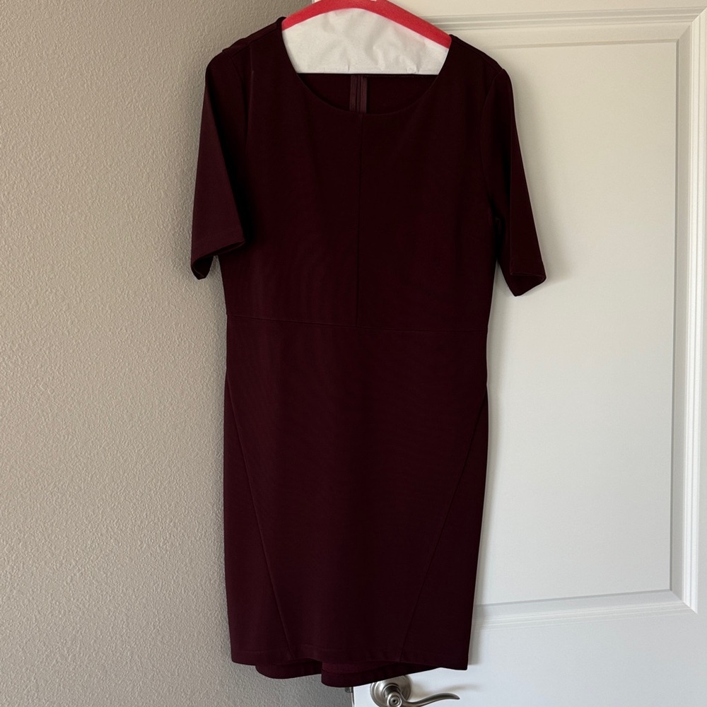 Daniel Cremieux Deep Burgundy Mini Dress